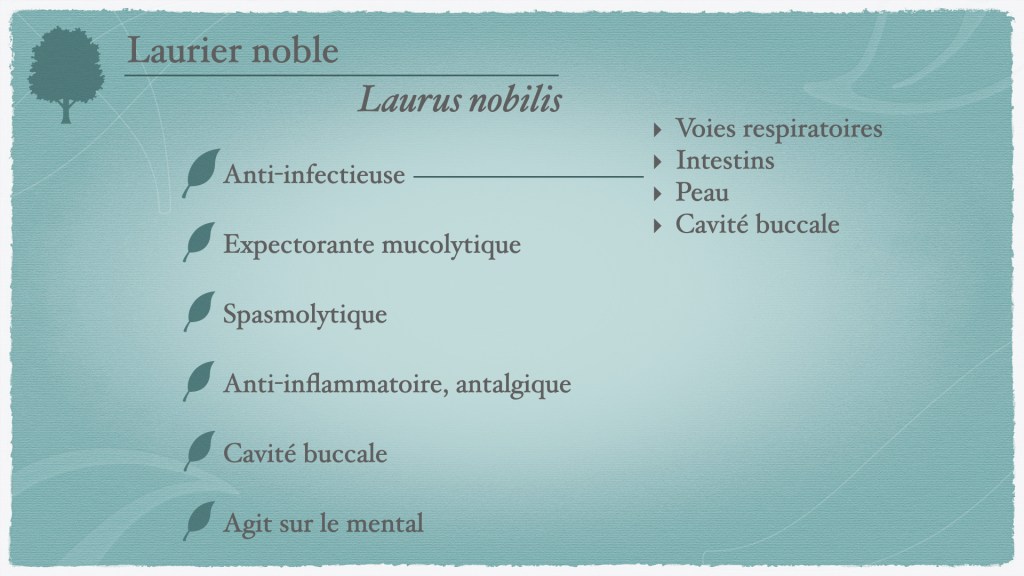 propriétés du laurier noble