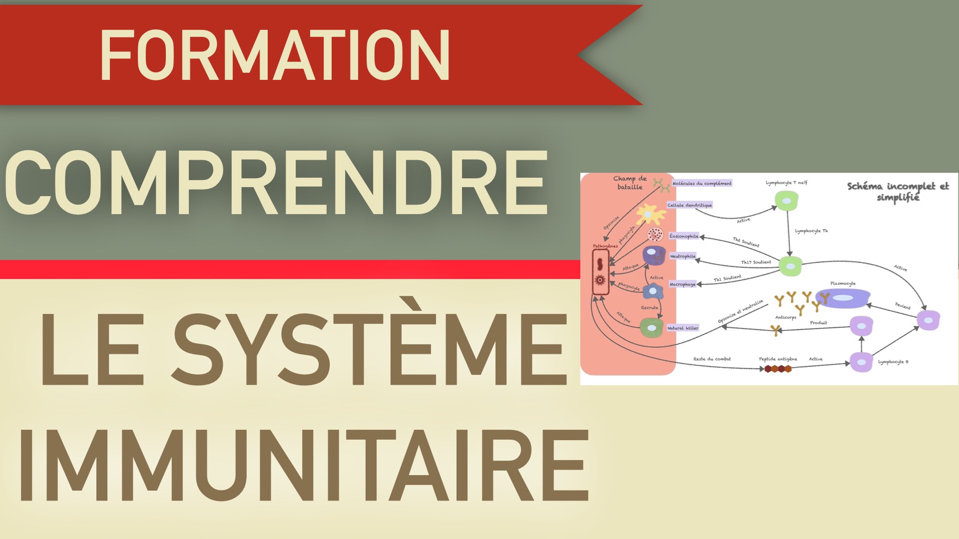 Description de l'image de la formation