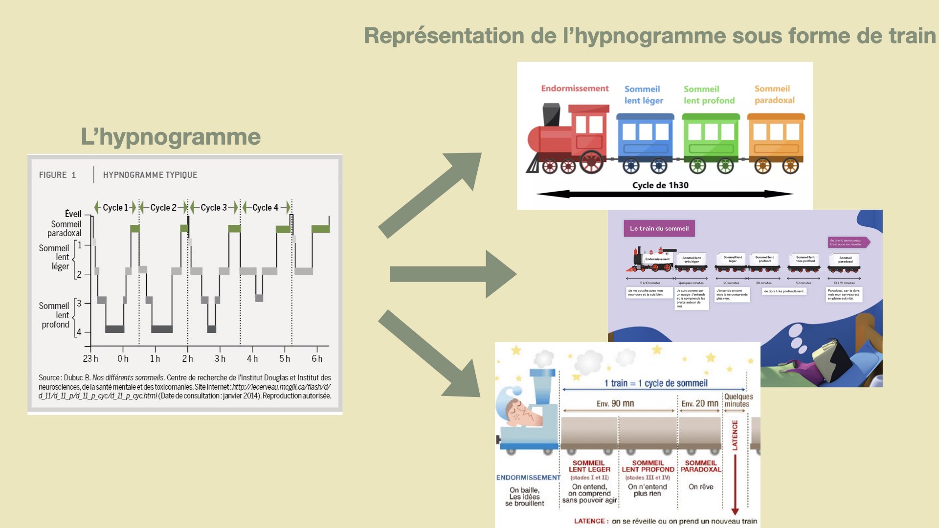 Peut-on rater le train du sommeil ? – PhytoGenfi